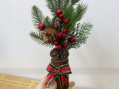 Chậu thông mini để bàn cành đỏ mọng cao 28cm đế gỗ [Nhiều kiểu] CHAUCAYGIA-19